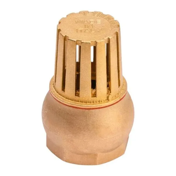 Valvula check canastilla 1 rb 100500 - Italy
