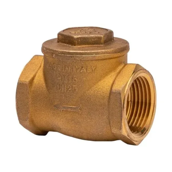 Valvula check swing 1 rb 100401 - Italy